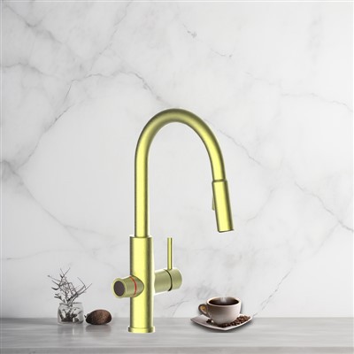 4 in 1 acqua calda Tap Gold